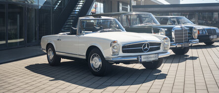Drei klassische Mercedes-Fahrzeuge stehen vor einem modernen Gebäude in der Sonne geparkt.