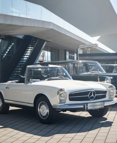 Drei klassische Mercedes-Fahrzeuge stehen vor einem modernen Gebäude in der Sonne geparkt.