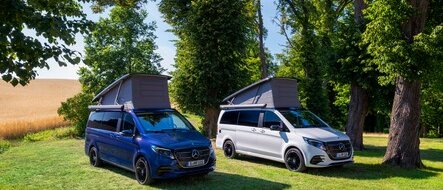 Zwei Mercedes-Benz Campingfahrzeuge mit ausfahrbarem Dach auf einer Wiese.