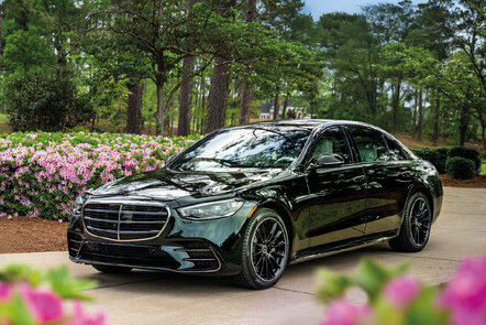 Schwarze Mercedes-Benz Limousine vor einem rosa blühenden Blumenfeld und grünen Bäumen.